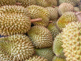 Naklejka na ściany i meble close up Durians in the market - The king of fruit