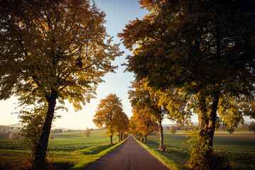 Allee im herbstlichen Abendrot