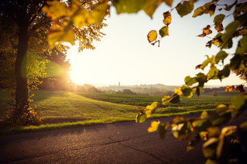 Allee im herbstlichen Abendrot