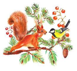 Watercolor colorful christmas composition with squirrel, forest birds, cones and  branches tree. White background.