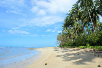 Beautiful wild tropical beach and sea views. Philippines. Palawan Island.