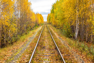 Fototapeta na wymiar Old railway in the autumn forest.