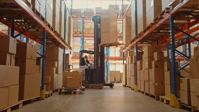 Time-Lapse: Retail Warehouse full of Shelves with Goods in Cardboard Boxes, Workers Scan and Sort Packages, Move Inventory with Pallet Trucks and Forklifts. Product Distribution Logistics Center