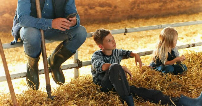 Caucasian man sitting and resting in stable, using smartphone. Father tapping and scrolling on mobile phone. Small kids playing. Little boy nd girl play in barn at farm. Countryside. Texting message.