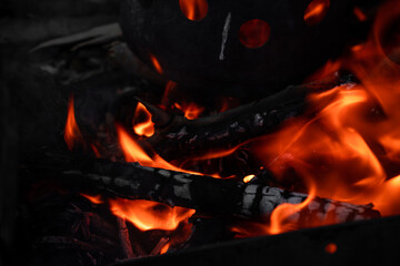 Close-up burning woods and flames