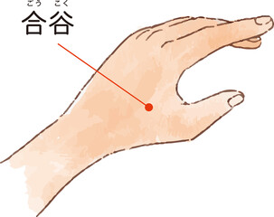 ツボ・経穴「合谷」の手描き風イラスト © 奈未 久保田