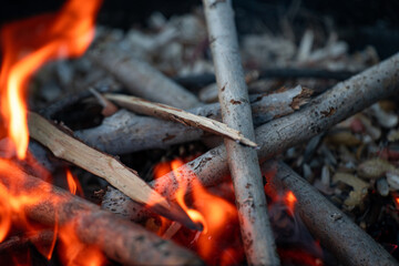 Close-up burning woods and flames
