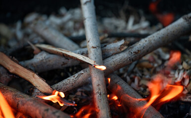 Close-up burning woods and flames