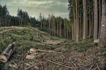 Thüringens wundervolle Landschaft