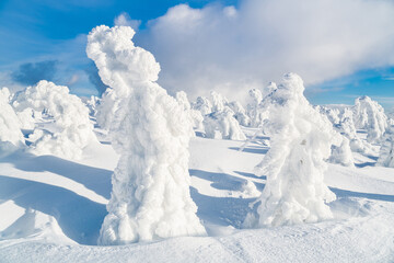 Fototapeta na wymiar Strange frozen up figures in Sudety mountain in Poland on winter. Trees covered by snow and ice.