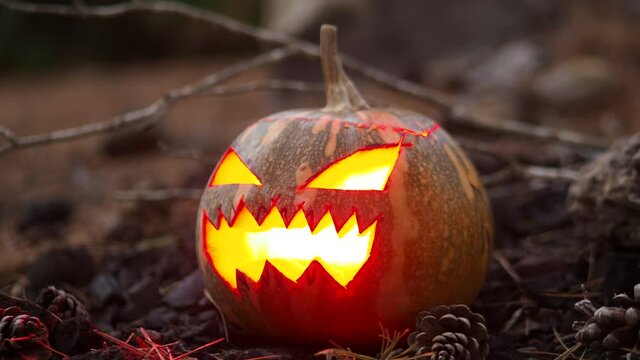 calabaza de halloween con luz en el interior en un bosque