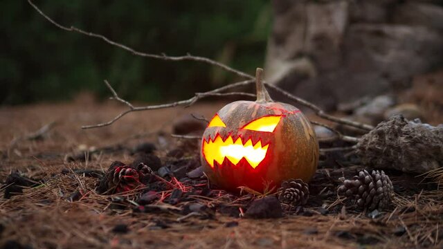 calabaza de halloween con luz en el interior en un bosque