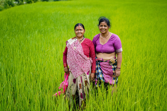 Old Indian Woman Farmer Standing In Working In The Green Fields, Smiling And Looking Into The Camera.