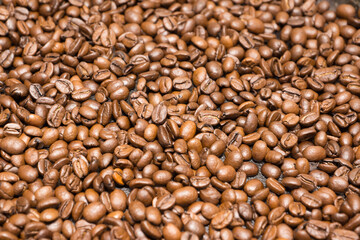 freshly roasted coffee beans