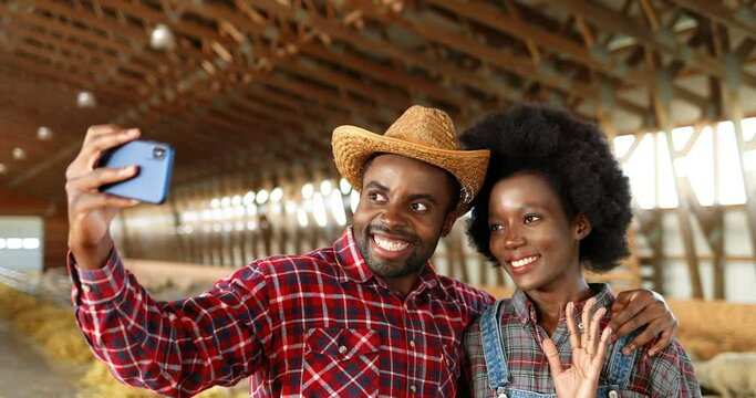 African American joyful young couple taking selfie photos in barn with sheep flock on smartphone and smiling. Pretty happy female and handsome male, farmers making pictures on phone. Cattle stable.