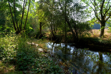 Sensitive natural space of the river in the French Gatinais regional nature park