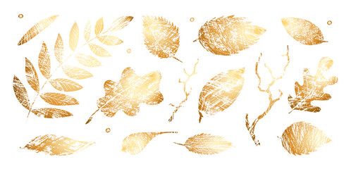 Set of texture gold leaves. Vector grunge modern textured brush stroke, scribbled. Abstract plant print. Doodle hand drawn natural elements for backgrounds, templates, wallpaper, card - obrazy, fototapety, plakaty
