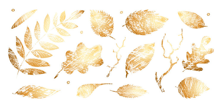 Set of texture gold leaves. Vector grunge modern textured brush stroke, scribbled. Abstract plant print. Doodle hand drawn natural elements for backgrounds, templates, wallpaper, card
