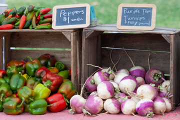 vegetables at the market - 378982082
