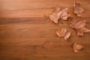 Naklejka na ściany i meble Autumn background with group of dry brown leaves on wood