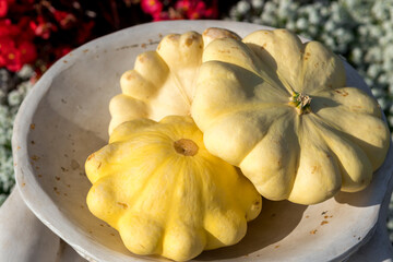 Ripe squashes are on the dish