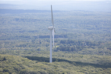 White weathervane in the middle of green forest