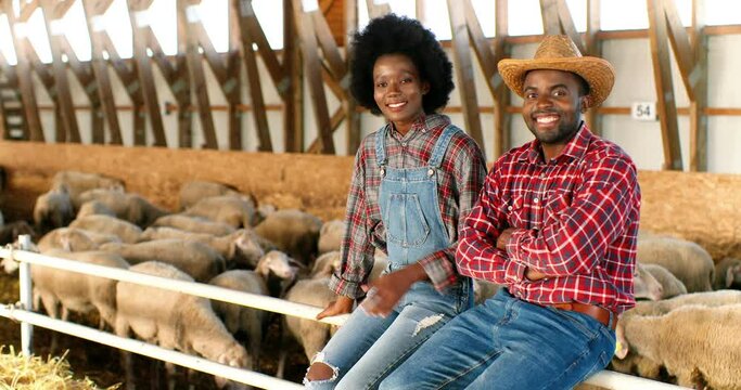 Portrait of happy young African American couple of farmers smiling to camera while sitting in stable for livestock. Handsome man and beautiful woman at sheep farm. Countryside concept.