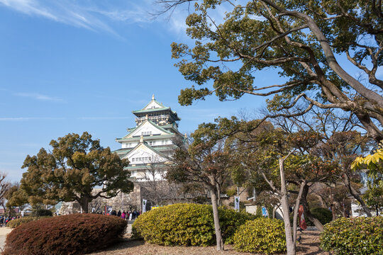 El Castillo de Osaka enmarcado en los &aacute;rboles que lo rodean con un cielo azul como fondo y sin personas.