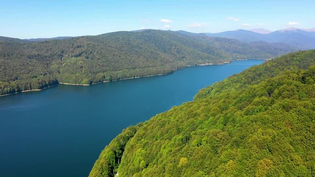 Blue water in a mountain forest lake with pine trees. Aerial view of blue lake and green forests. View on the lake between mountain forest. Over crystal clear mountain lake water. Fresh water. Vidraru