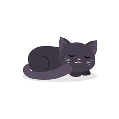 black cute cat sleeping curled up in a ball