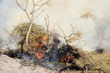 Big bonfire in the open air. A pile of ash from burnt boards and branches. Hot flame.