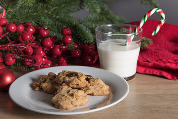 Milk and home made raisin cookies and a candy cane for Santa Claus under the Christmas tree