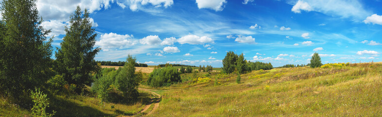 Fototapeta na wymiar Bright summer rural russian landscape with country road and fields