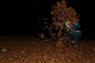 Autumn leaves playing