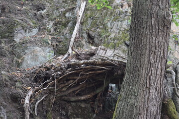 Thale - Hexentanzplatz