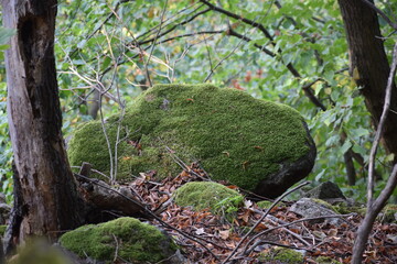 Thale - Hexentanzplatz