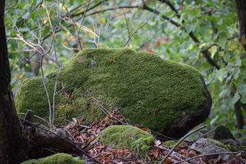 Thale - Hexentanzplatz