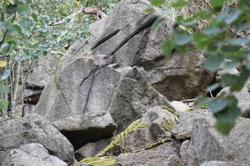 Thale - Hexentanzplatz