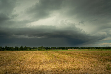 Fototapeta na wymiar Dark stormy cloud over the field, summer day