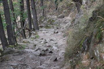 Thale - Hexentanzplatz