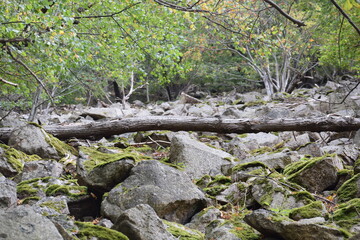 Thale - Hexentanzplatz