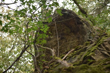 Thale - Hexentanzplatz