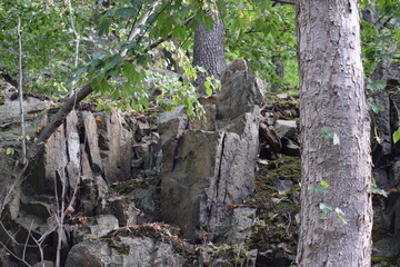 Thale - Hexentanzplatz