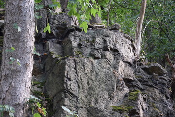 Thale - Hexentanzplatz