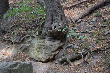 Thale - Hexentanzplatz