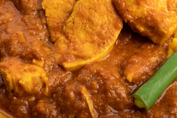 extreme closeup of Indian buttered chicken and green beans