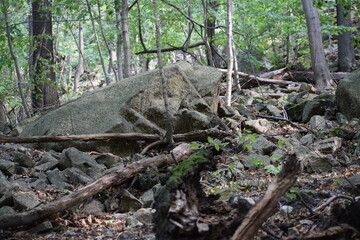 Thale - Hexentanzplatz