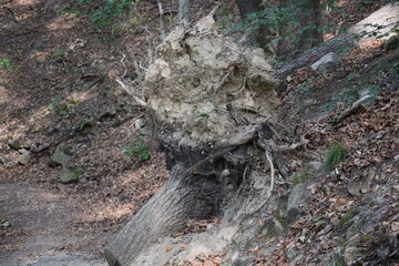 Thale - Hexentanzplatz