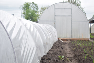 Greenhouse made of film and polycarbonate in the garden. Growing in protected ground