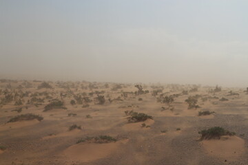 Sandsturm, Gobi Wüste, Mongolei